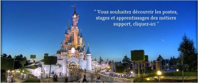  Il castello di Disneyland Paris