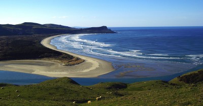 Cape Saunders Otago Peninsula (Nuova Zelanda)