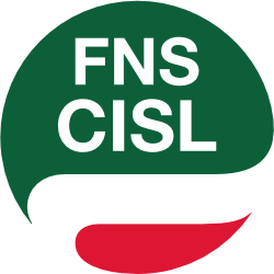 fns_cisl 250