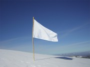 White_Flag