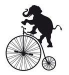 elefante liotru in bici