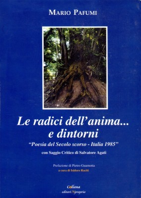 La copertina del libro di Mario Pafumi