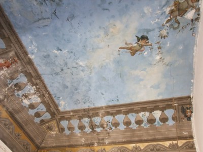 I soffitti decorati di alcuni palazzi storici