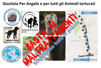 02 C - Giustizia Per Angelo e per tutti gli Animali torturati